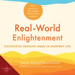Real-World Enlightenment audiobook sample