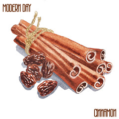 Modern Day - Cinnamon