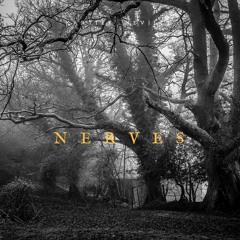 Nerves (Prod.ScandiBeats}