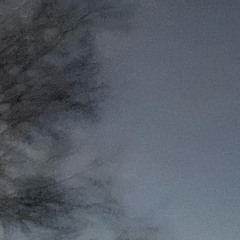 monte