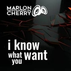 I Know What You Want - The 2024 Mark Oliveira Remix c/o "Radio FM 100 - Porto Alegre,Brazil"