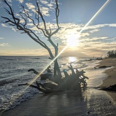 whAt YOU DO tO Me feat. Riley & Janayah