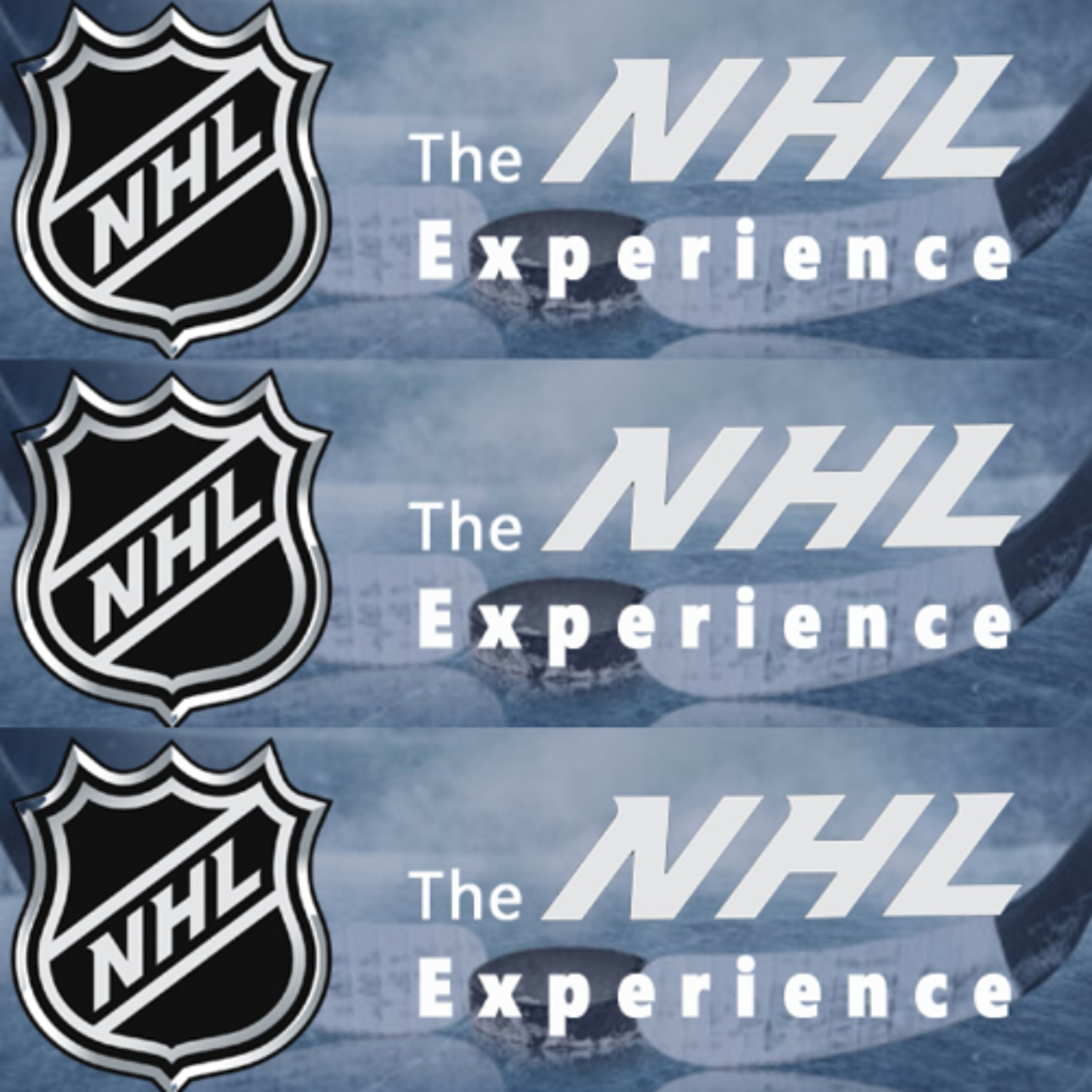 Sunday, October 12: The NHL Experience Scores