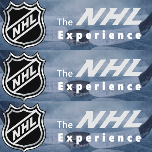 Friday, November 28: The NHL Experience Scores
