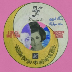 Mississippi Records 280425