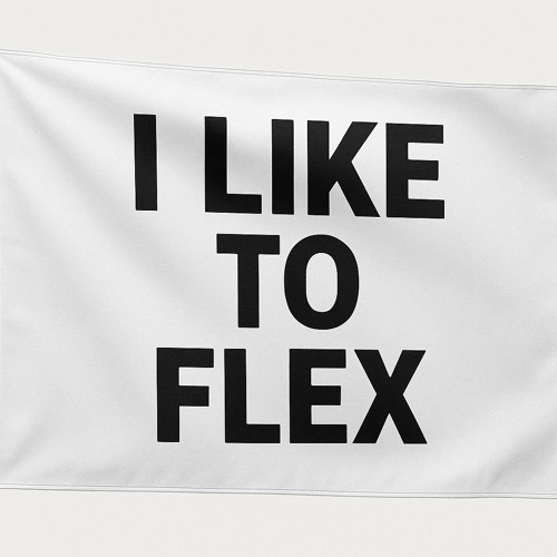 I Like To Flex! (Prod. Ohmygon)