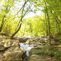 Cat Robey- Your Binoculars, My Window (Future Rock remix of Broken Bells- The Ghost Inside)