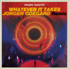 Whatever It Takes Jorgen Odegard Remix Mp3