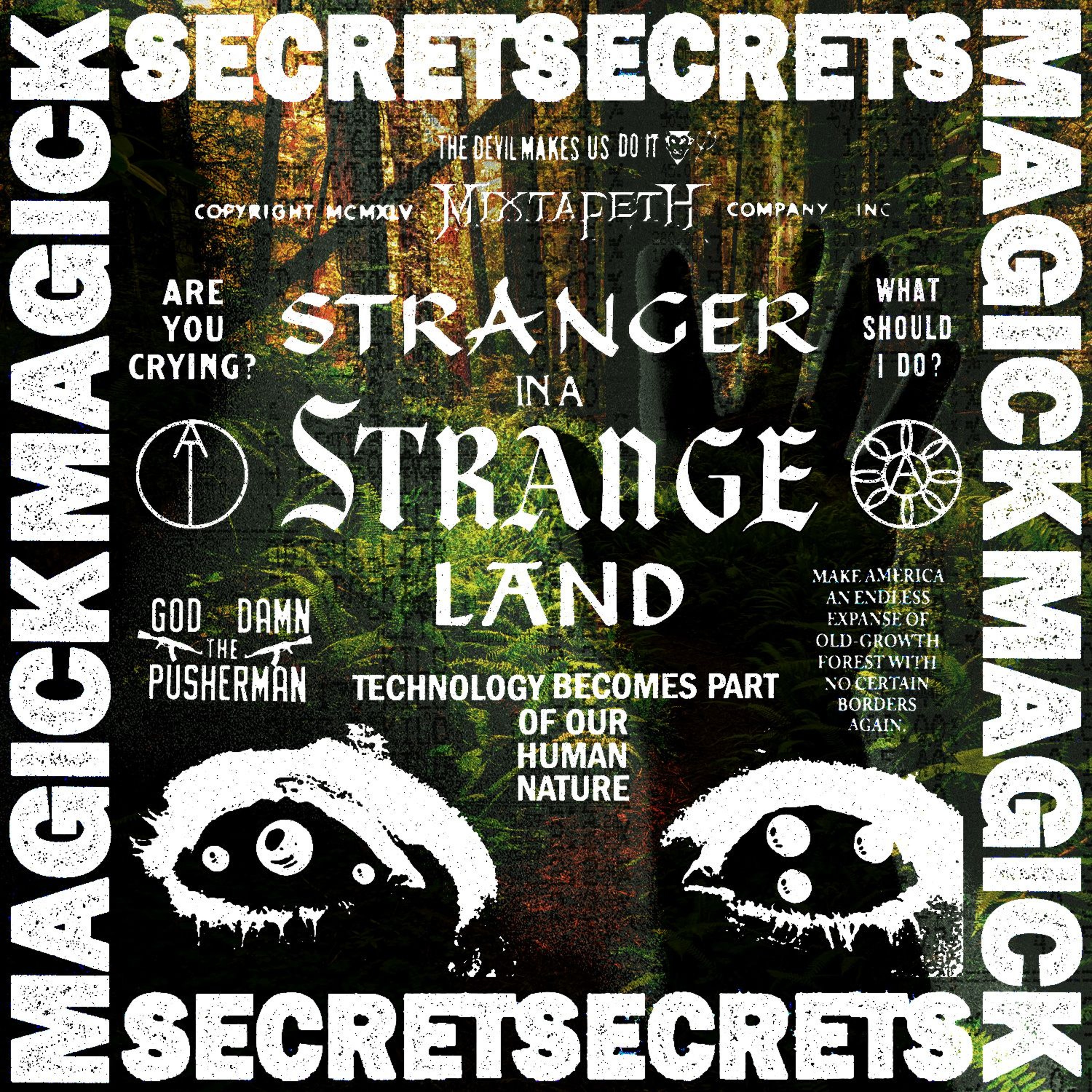 STRANGER IN A STRANGE LAND episode artwork