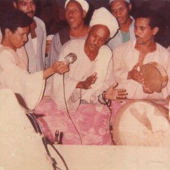 روضة الهادي نبينا لفضيلة الشيخ صالح أحمد رضوان