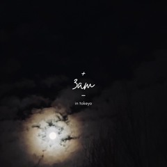 3am in Tokeyo (Prosen Cannes Flip)