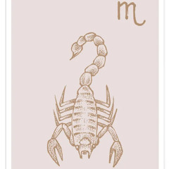 Scorpio Selecta Sauce