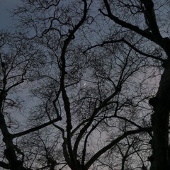 DWMT (prod. tiresss / underrated club)