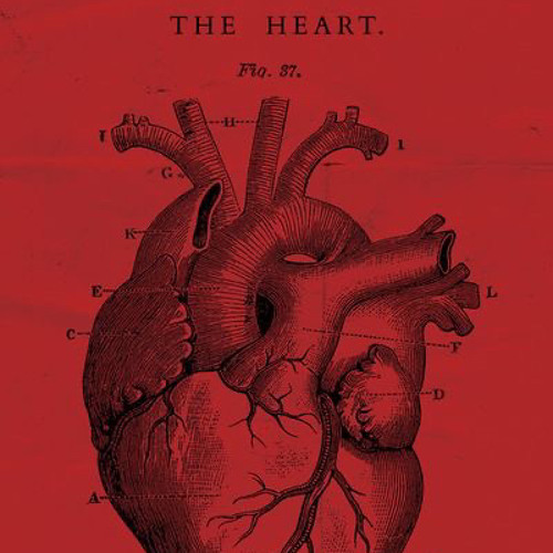 Heart of Stone (Prod. Tempo.40)