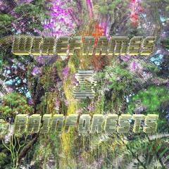 EX LIBRIS 2: Wireframes & Rainforests