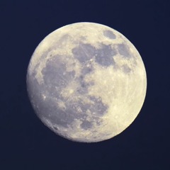 Nov 2021 Moontribe