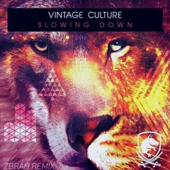 Vintage Culture - Slowing Down (ZBRAH remix)