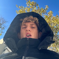 AVE FÉNIX - TINCHOX