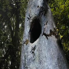 Wyrdstone