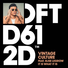Vintage Culture featuring Elise LeGrow 'It Is What It Is'