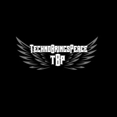 Meek Attack ( Meek-Fly vs Acid-Attack) TechnoBringsPeace Weihnachts Special Hardtechno Set.wav