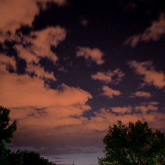 Night