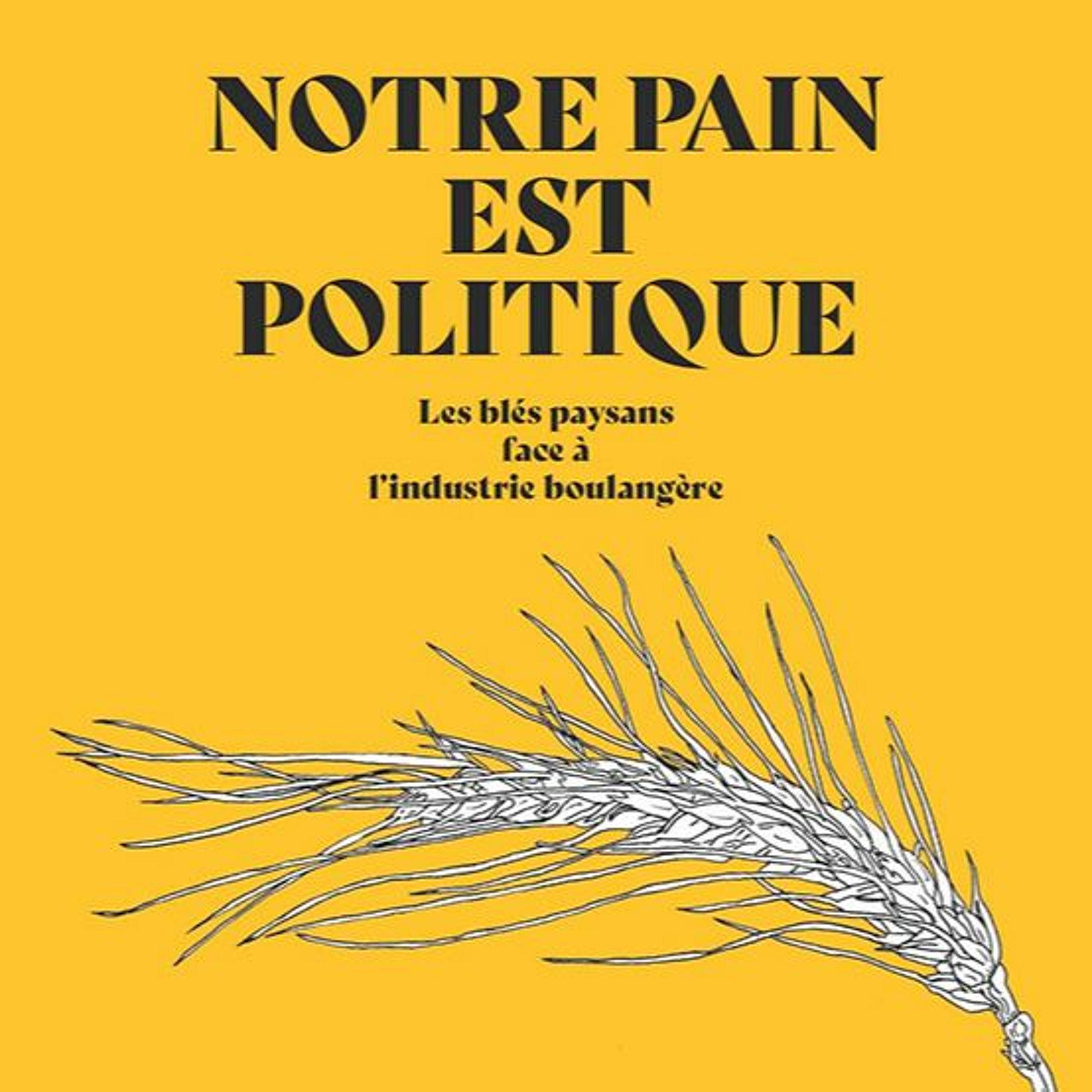 Du Poil sous les bras (On air et sur terre)