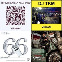 Amapiano mix 2021