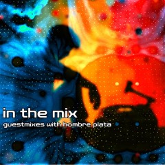 in the mix (live mixes // guestmixes)