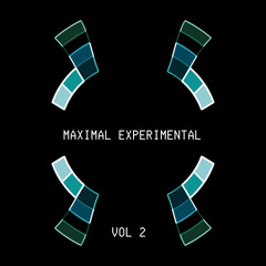 Maximal Experimental Vol 2 - Various