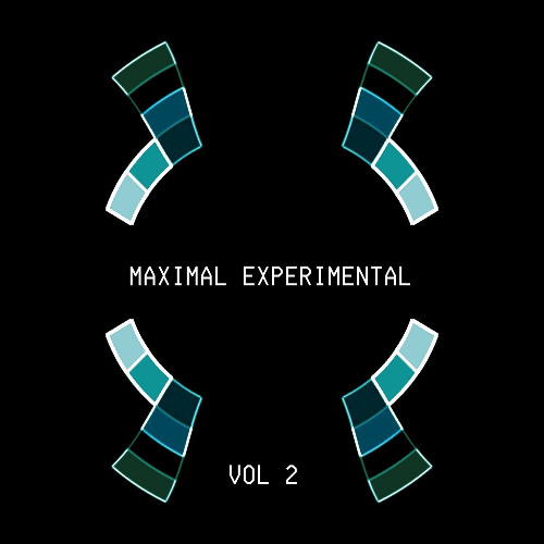 Maximal Experimental Vol 2 - Various