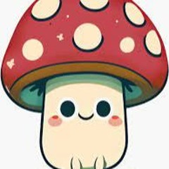 KXM - Big Mushroom