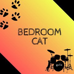 Bedroom Cat