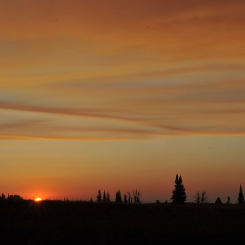 THE CIRCLE IN THE SQUARE no. 11 “Learning to learn. Listening to listening”