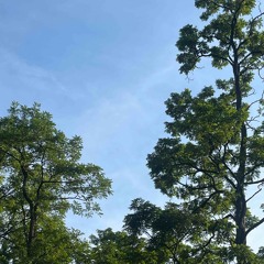 Head Space