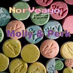 Molly The Perk