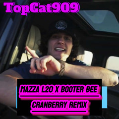CRANBERRY REMIX TopCat909