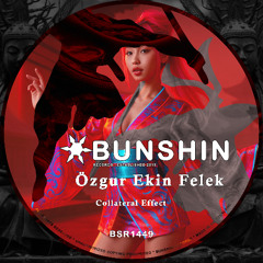 Özgur Ekin Felek - Collateral Effect (FREE DOWNLOAD)