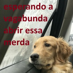 POR GENTILEZA ABRE ESSA MERDA SUA VAGABUNDA (O CACHORRO TA DENTRO DO CARRO MIX)