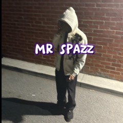 Mr Spazz