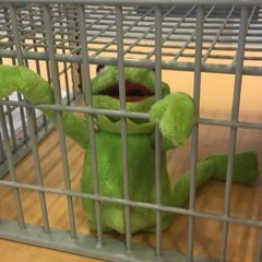 The Kermit Show Remix