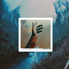 Demo 17 Destiny Divine X Apollo Knight