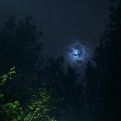 That Moon Song (cover) - Gregory Alan Isakov