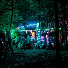 La Marche Des Forets