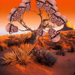 It’s kleiner Time! (Crumbling Tower of «Northeast Guasave Unit: White Mesa»)