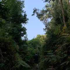 detachment (from XIVARRI Vol. 2)