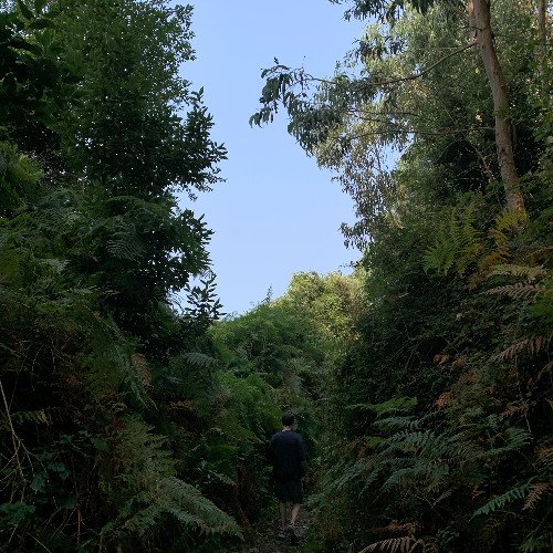 detachment (from XIVARRI Vol. 2)