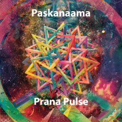 Paskanaama - Prana Pulse @ Excl for ChillOutPlanet.Ru