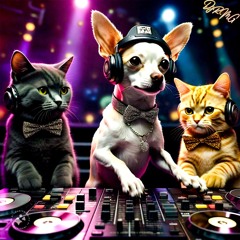 OLDSCHOOL DANCE EDITION