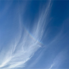 CF Premiere: Dante - New Places